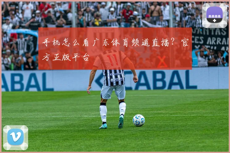 手机怎么看广东体育频道直播？官方正版平台