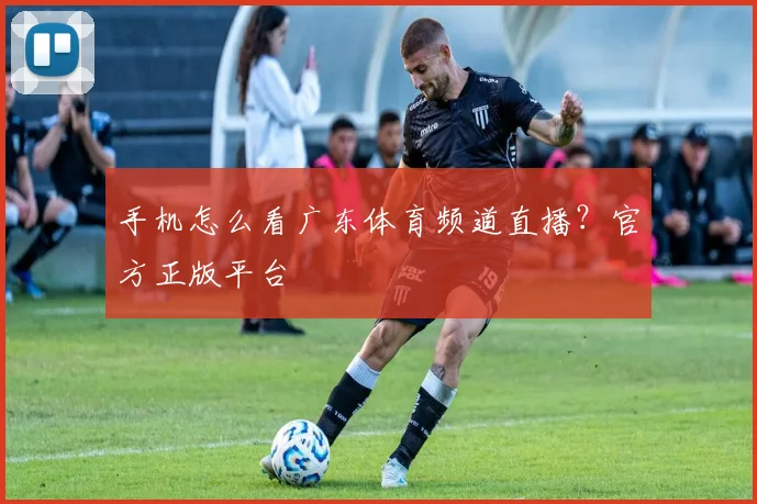 手机怎么看广东体育频道直播？官方正版平台
