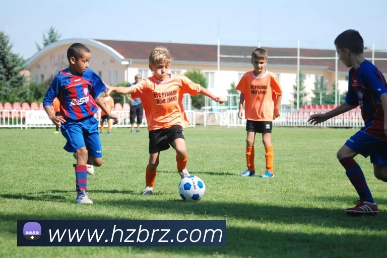 开云手机网页入口APP 封面图